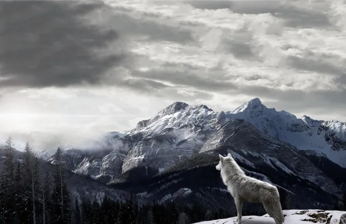 我就是那个嫁给了备胎的女同学
